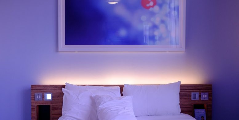 Stratégies efficaces pour venir à bout des punaises de lit dans les hôtels